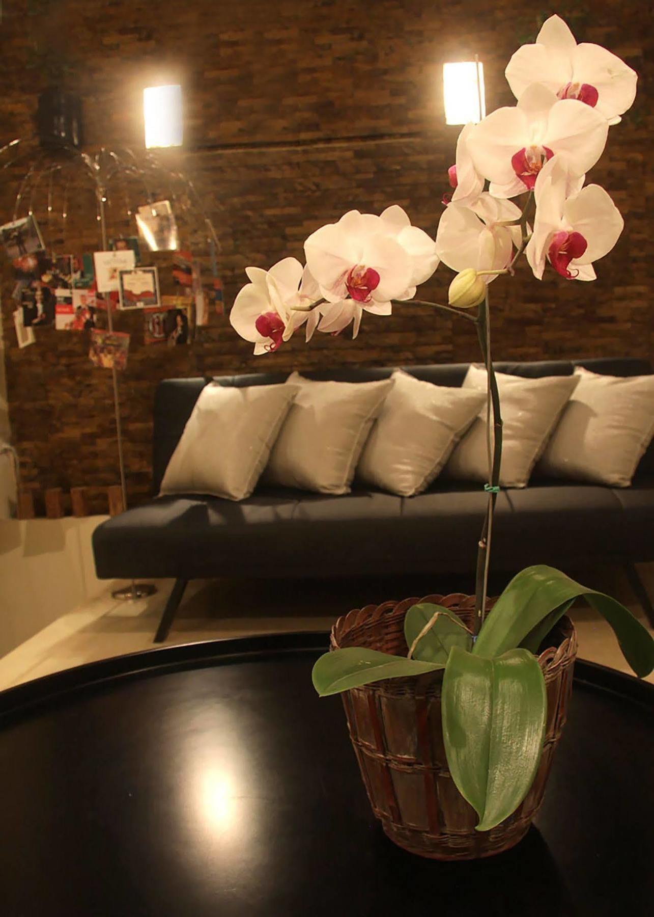 6 Suites Hotel بوغوتا المظهر الخارجي الصورة
